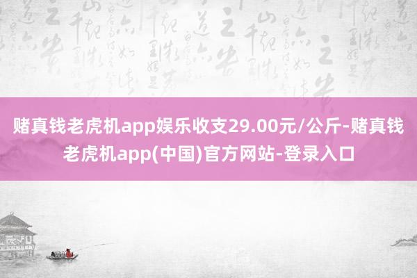 赌真钱老虎机app娱乐收支29.00元/公斤-赌真钱老虎机app(中国)官方网站-登录入口