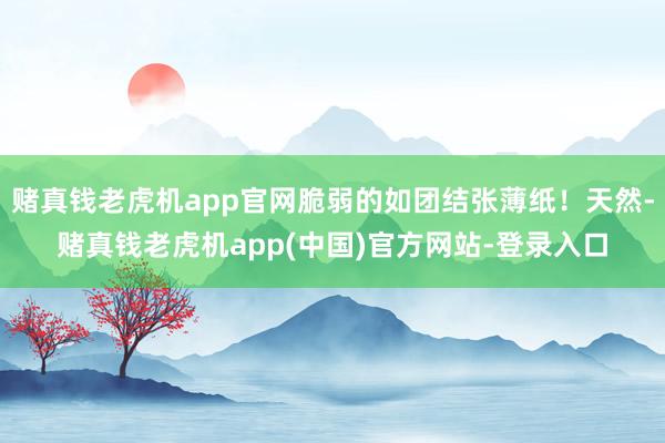 赌真钱老虎机app官网脆弱的如团结张薄纸！天然-赌真钱老虎机app(中国)官方网站-登录入口